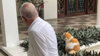 爱猫Kiky离世 纳吉悼念感恩相伴