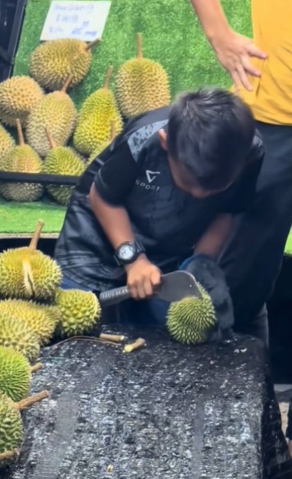 供星洲网：视频|8岁男童开榴梿视频引热议 熟练似档主