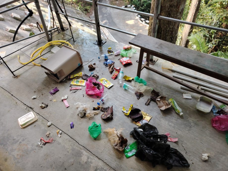 免野猴翻桶污染环境 登拉律山者受促将垃圾带下山 