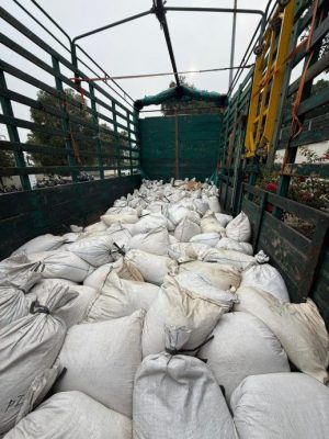 全国/雪州关税局新闻发布会