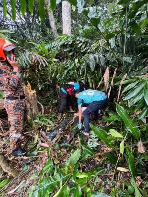 全国/未签/砍树被击中