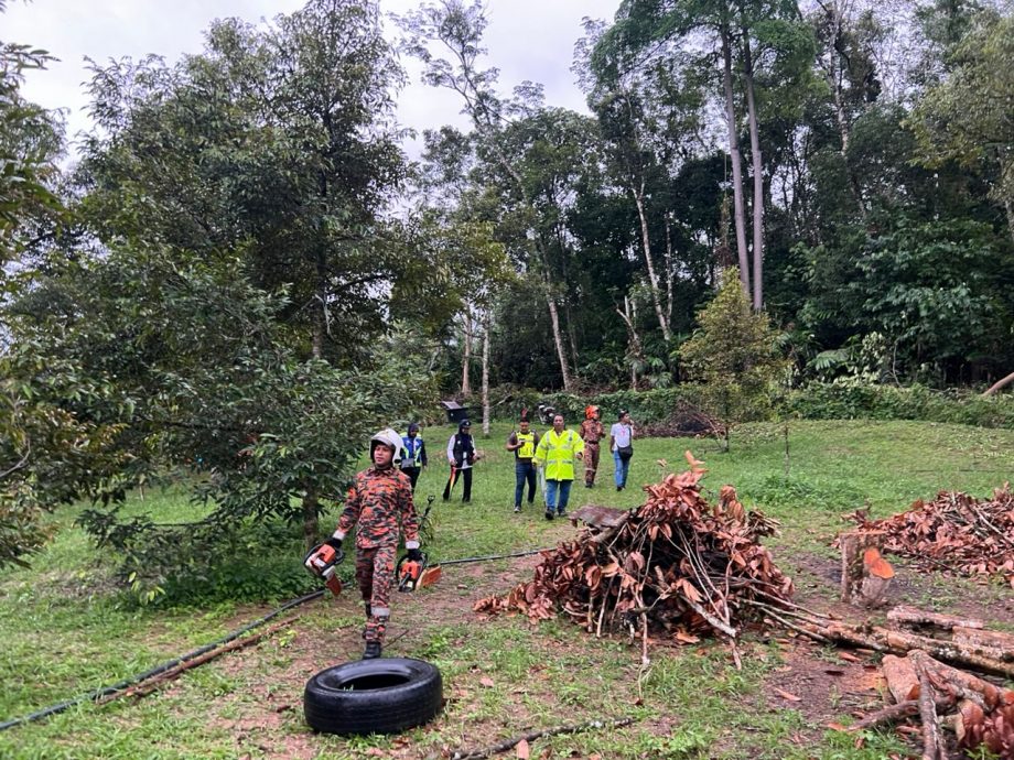 全国/未签/砍树被击中