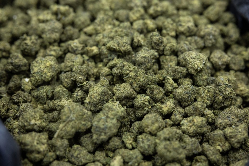 全国:吉兰丹警方:大麻花市场需求持续上升