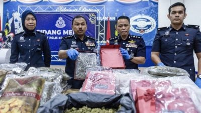吉兰丹警方：大麻花市场需求持续上升