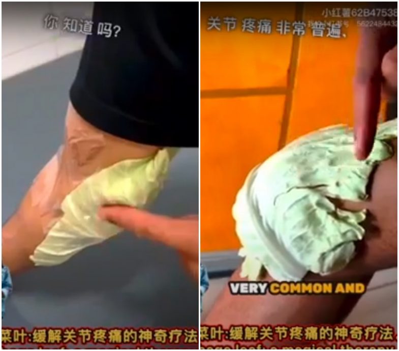 全国：求真：网传包菜叶敷关节可缓解疼痛，专家：不实说法！