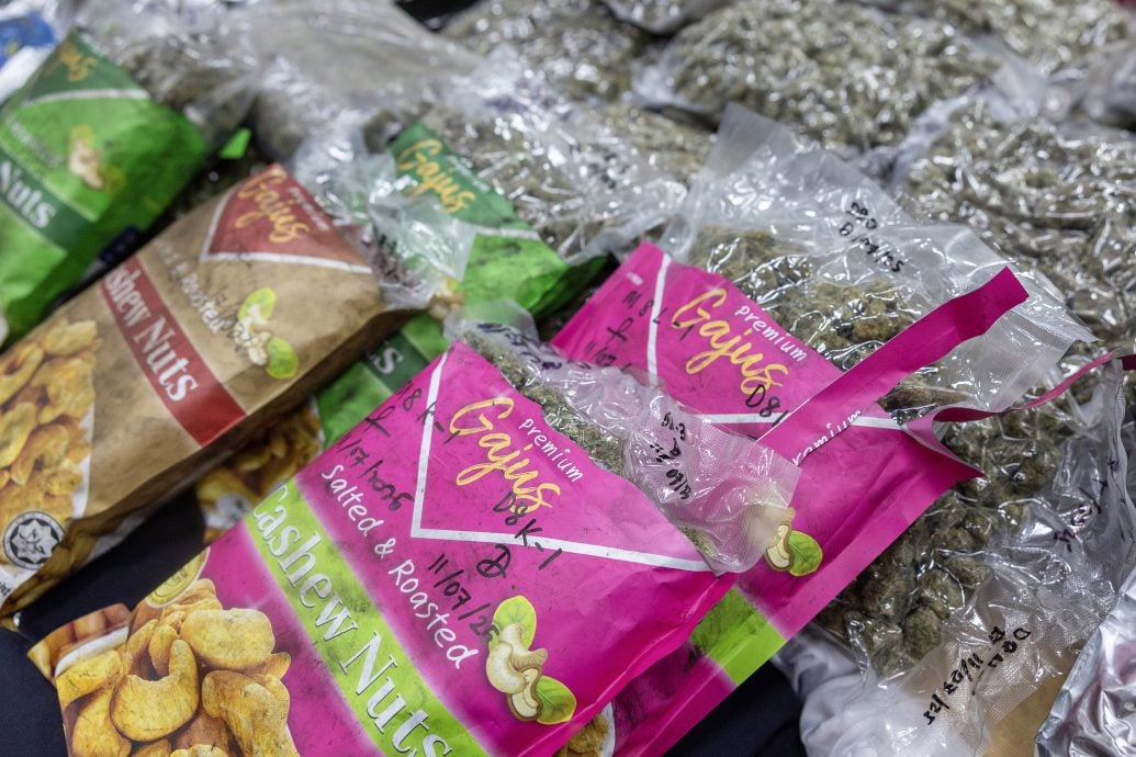 全国：（已签发)警方逮捕一对夫妇，起获310万令吉大麻