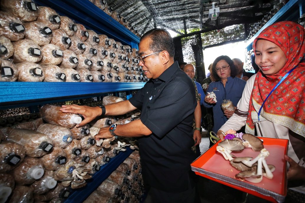 养蜂种蚝菇 军人家属创造收入