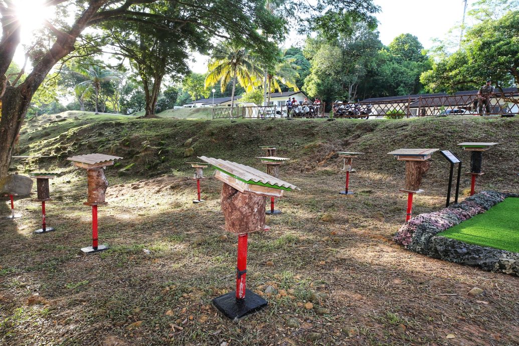 养蜂种蚝菇 军人家属创造收入