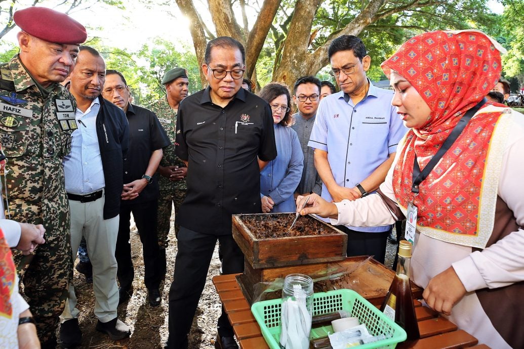 养蜂种蚝菇 军人家属创造收入