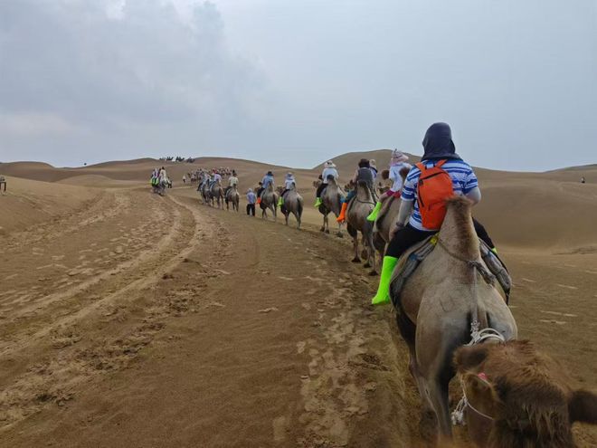 内蒙暴雨破66年最强降水纪录　游客骑完骆驼困沙漠3小时