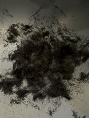 再5天入伍 车银优剃发照曝光