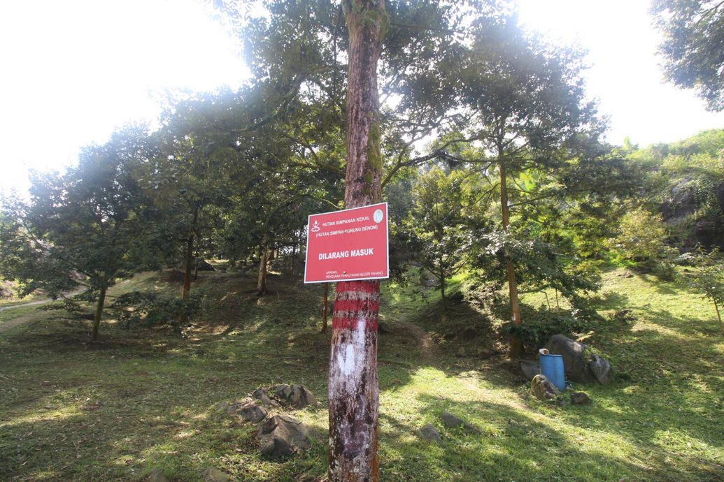 刘天球::森林管辖权不属州政府 “猫联应向联邦提诉求