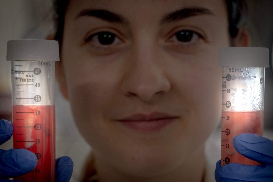 北极熊饿到吃海草 体内验出PFAS污染物 生存面临新威胁