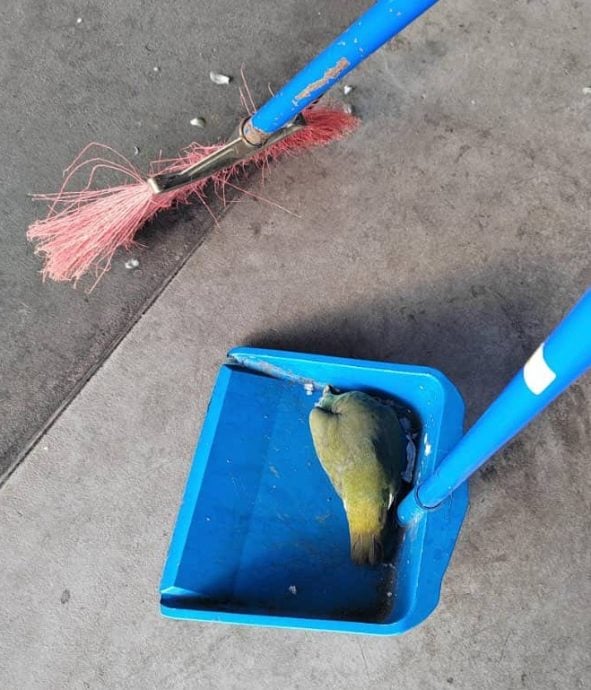 升旗山机构与IAPWA 寻策应对动物中毒事件