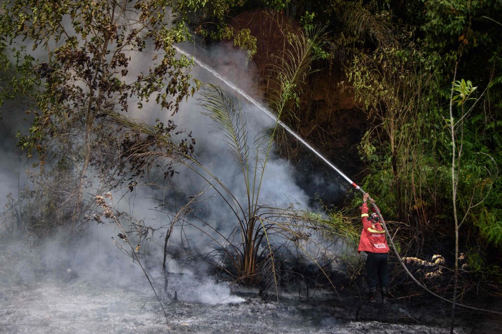 印尼苏门答腊北部与西部 逾46公顷林地遇旱季大火
