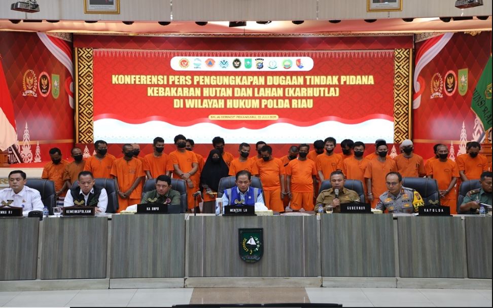 印尼警方逮捕44名森林纵火嫌犯