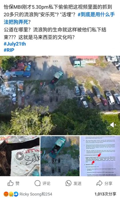 发狗囚笼视频埋尸照 女网民:讯息非常清楚