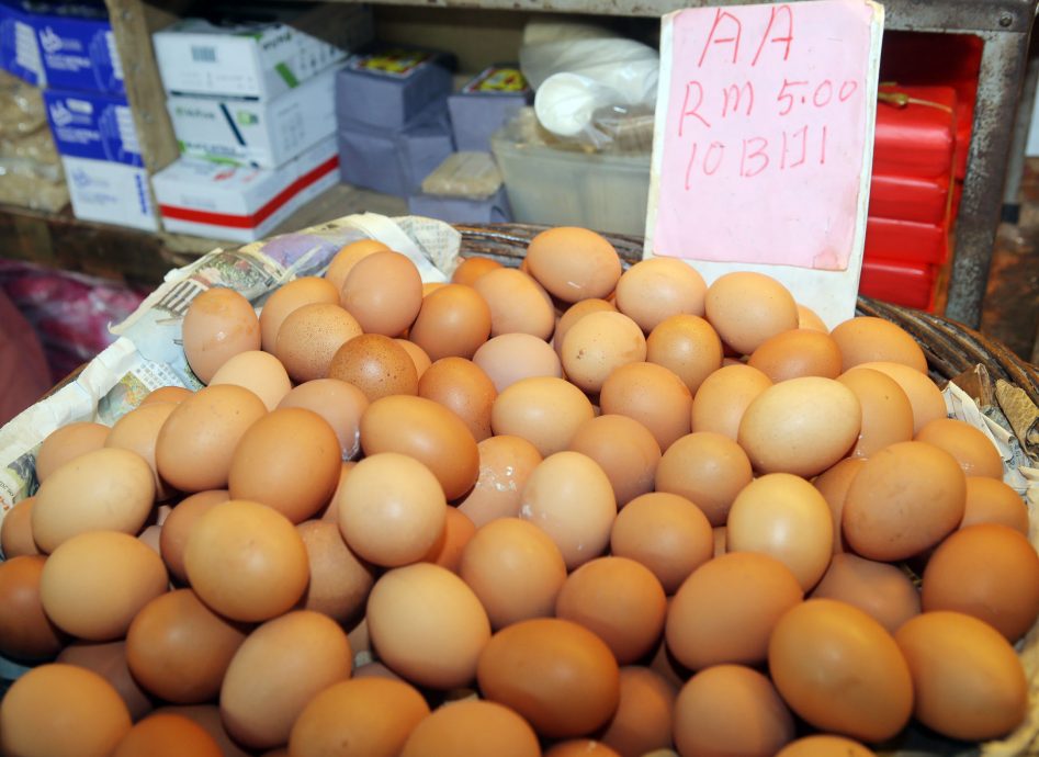 取消补贴货源足没抢购 蛋商:下周鸡蛋料涨价