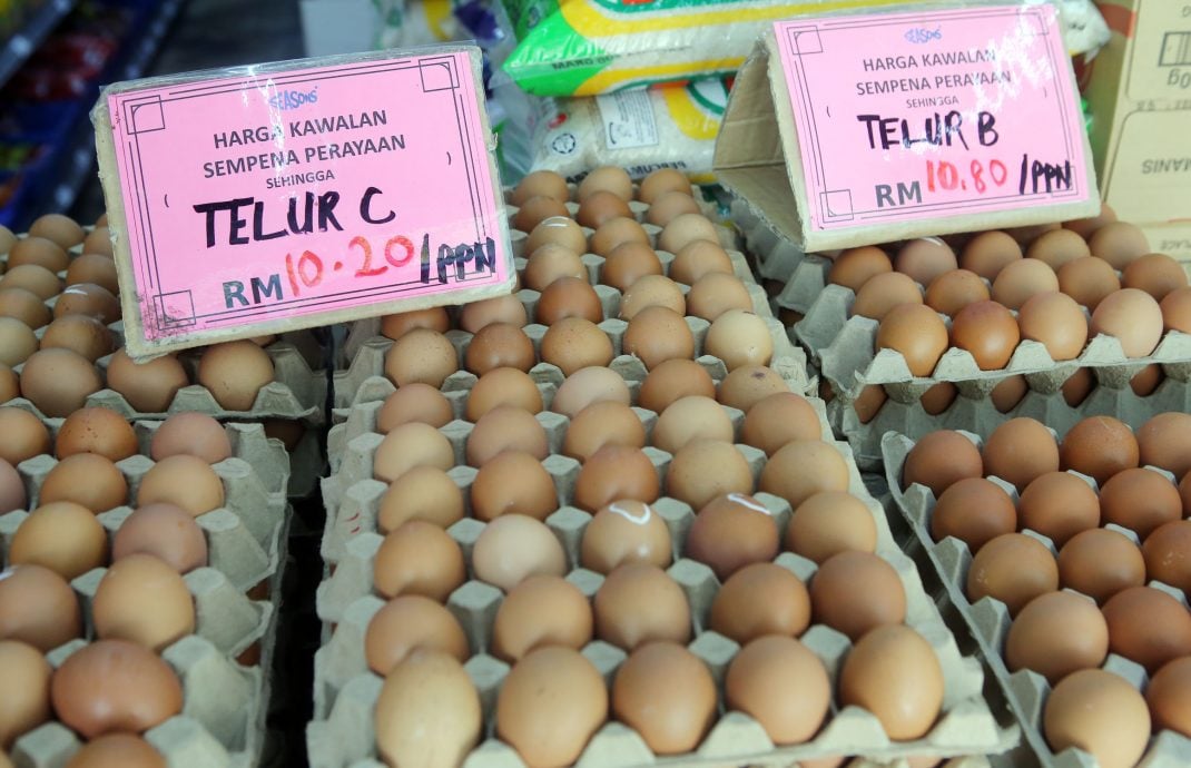 取消补贴货源足没抢购 蛋商:下周鸡蛋料涨价