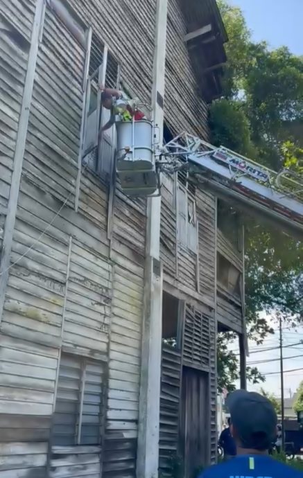 只剩头颅两根骨 疑狗吃掉长者遗骸