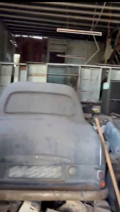 只剩头颅两根骨 疑狗吃掉长者遗骸