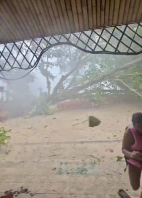 台风“韦帕”肆虐波及泰国普吉岛 2中国游客遭大树砸中、巨浪卷走亡