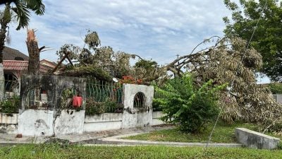 和丰狂风暴雨 多地掀风灾幸无伤亡