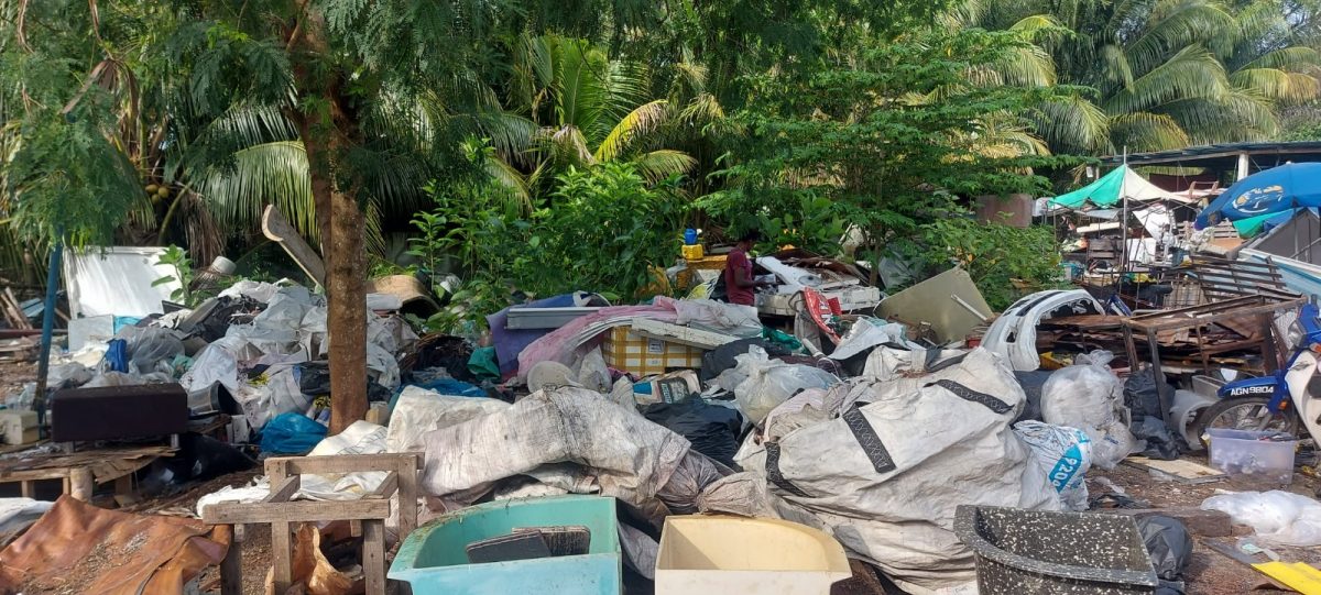 回收物品商无视警告 市厅出动5卡车清拆