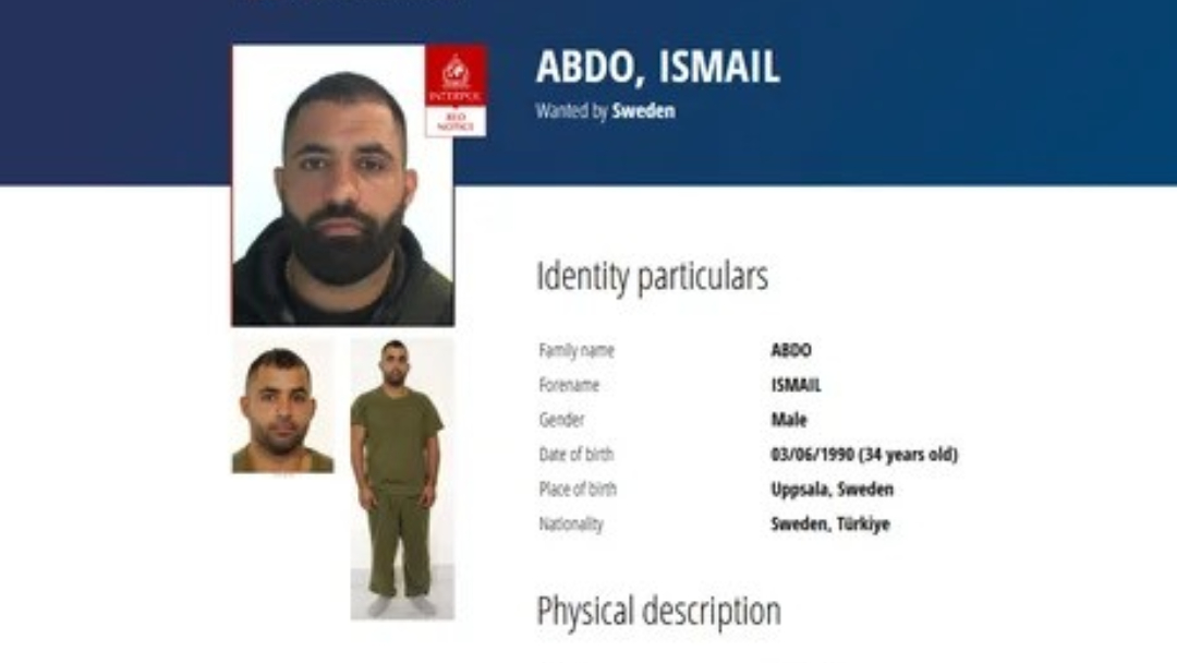 国际刑警发红色通缉令 瑞典黑帮首领“草莓”在土耳其落网