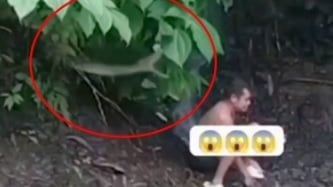 视频 | 和友人河边戏水  男子险成蟒蛇盘中餐