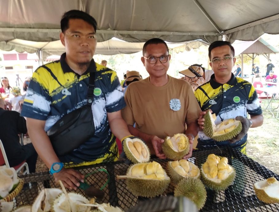 国际榴梿价格下跌 大马需寻找新出路