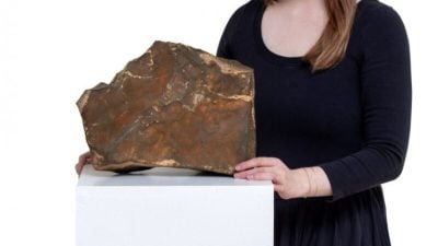 地球最大火星陨石拍卖　成交价料达1700万元