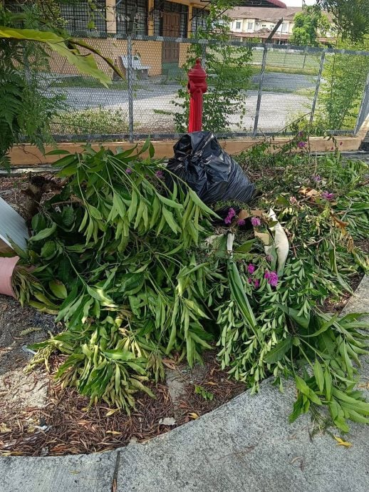 (大北马)忠英园30%消防栓遭遮挡 自愿消拯队吁居民勿阻碍