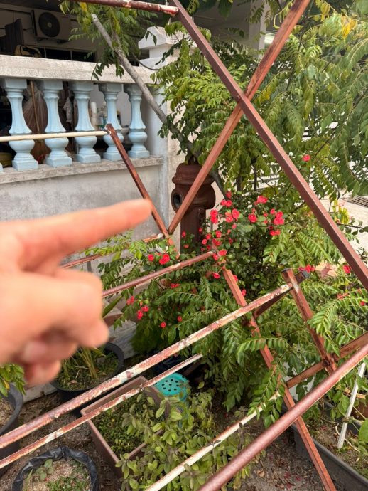 (大北马)忠英园30%消防栓遭遮挡 自愿消拯队吁居民勿阻碍