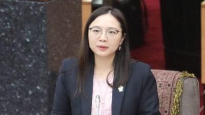 雪州议会 | 雪骨痛热症大降  嘉玛莉亚：多单位合作成果