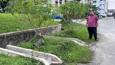 住宅区主道逢雨淹  市会建6排水孔解决