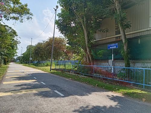 大都会封面/东禅寺旁扩建道路