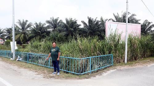 大都会封面/东禅寺旁扩建道路