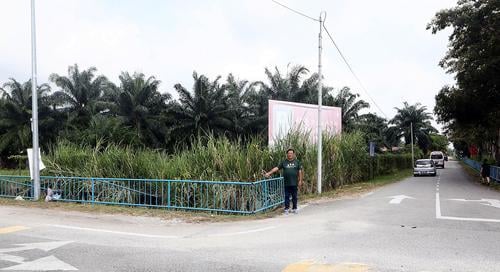 大都会封面/东禅寺旁扩建道路