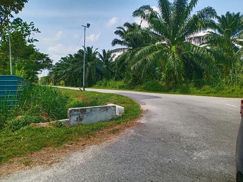 大都会封面/东禅寺旁扩建道路