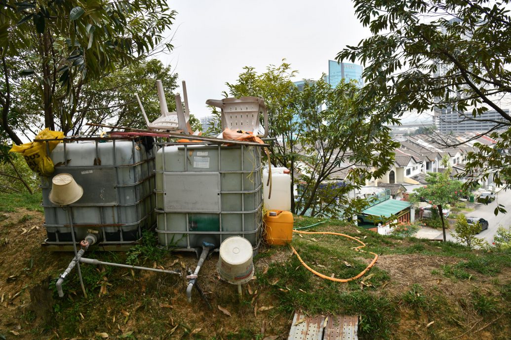 大都会/封面/山坡惨变私人榴梿园