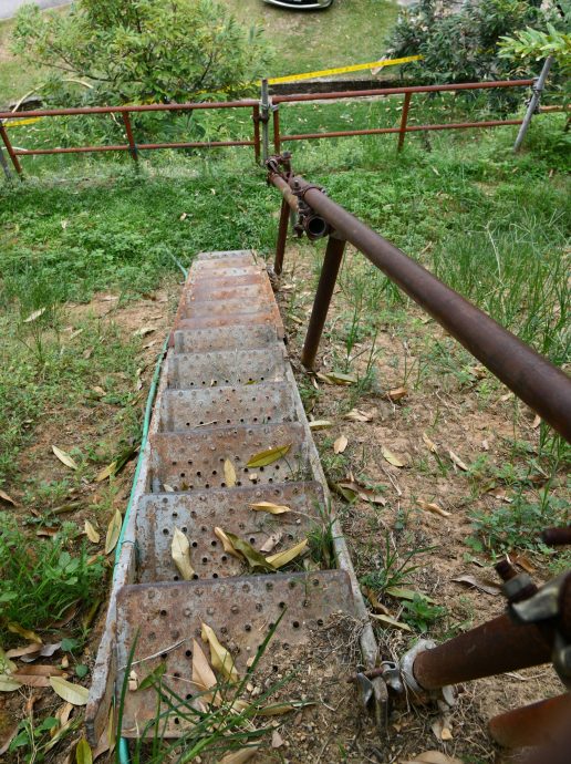 大都会/封面/山坡惨变私人榴梿园