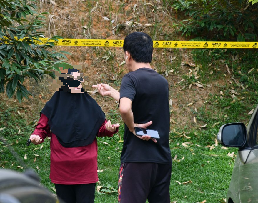 大都会/封面/山坡惨变私人榴梿园