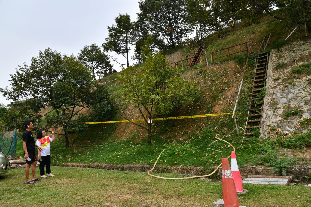 大都会/封面/山坡惨变私人榴梿园