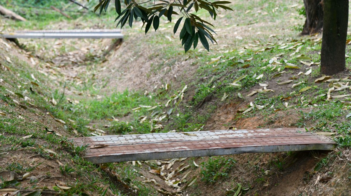 大都会/封面/山坡惨变私人榴梿园