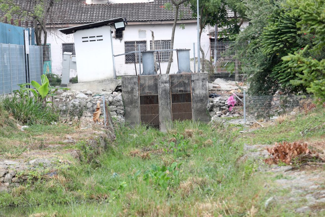 大都会/滞洪池长草淤泥不清理，承包商篱笆建美美挨轰