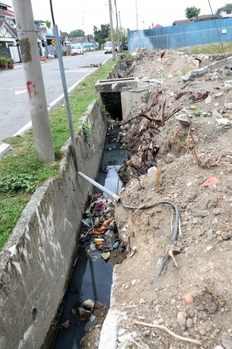 大都会/滞洪池长草淤泥不清理，承包商篱笆建美美挨轰