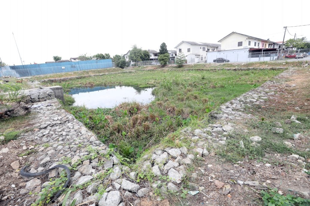 大都会/滞洪池长草淤泥不清理，承包商篱笆建美美挨轰