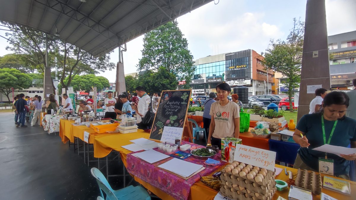 大都会(版2头)/MBPJ有机日活动/3图