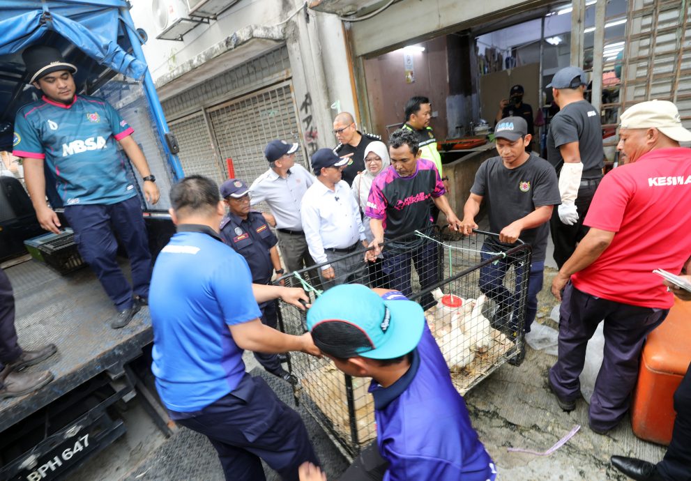 大都会（版2头）/MBSA联合移民局大阵仗扫荡劳板抓242外劳